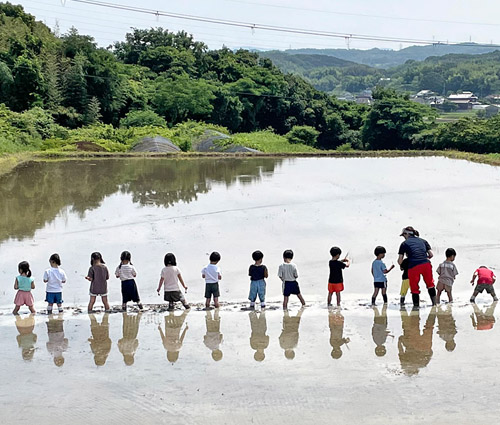 田植え